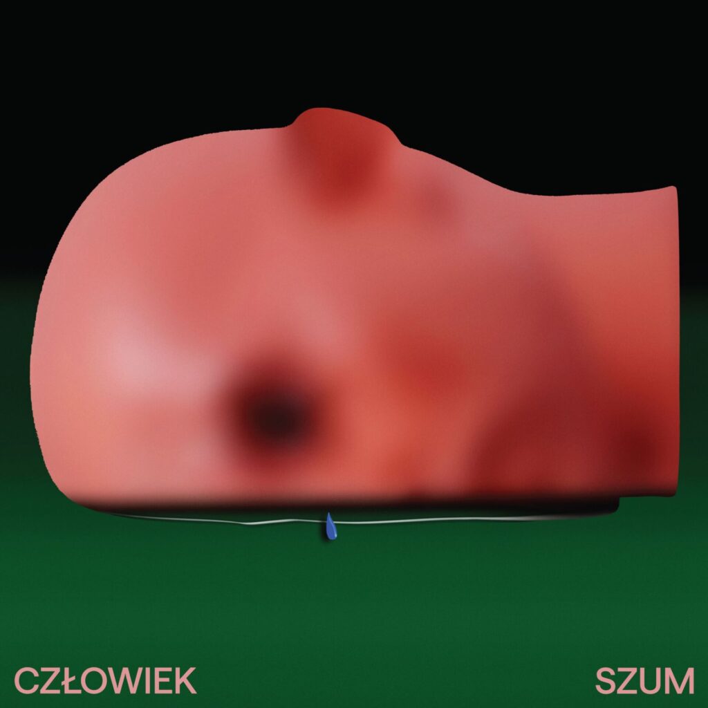 Szum to nowoczesna muzyka elektroniczna będąca kombinacją wyrazistych melodii oraz dynamicznego rytmu. Album jest ukłonem w stronę wyobraźni, seansem opowieści o prostych rzeczach, których doświadcza każdy