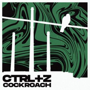 CTRL+Z to psychodeliczny stoner rock wyrastający nie z kalifornijskich piasków, lecz z łódzkiego bruku — postindustrialna szarość, chaos i kurz miasta zamiast pustynnego horyzontu. Ich korzenie tkwią w jam session – psychodelicznych, nieokiełznanych improwizacjach, z których rodzą się pierwsze szkice utworów. Kompozycje kształtują się intuicyjnie, zanim trafią do studia na miks i master.