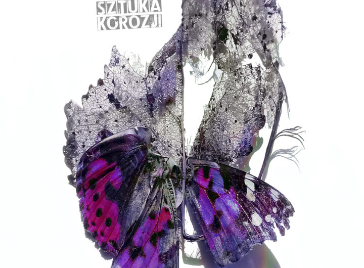 „Poznaj historię zespołu, nowe brzmienia i premierę albumu ‘Sztuka korozji’ już w listopadzie 2025” Dance Like Dynamite to trzeci projekt muzyczny powstały w Sopocie w 2015 roku jako supergrupa muzyków z różnych zespołów Trójmiasta, w tym Vulgar, Blenders czy Made In Poland.